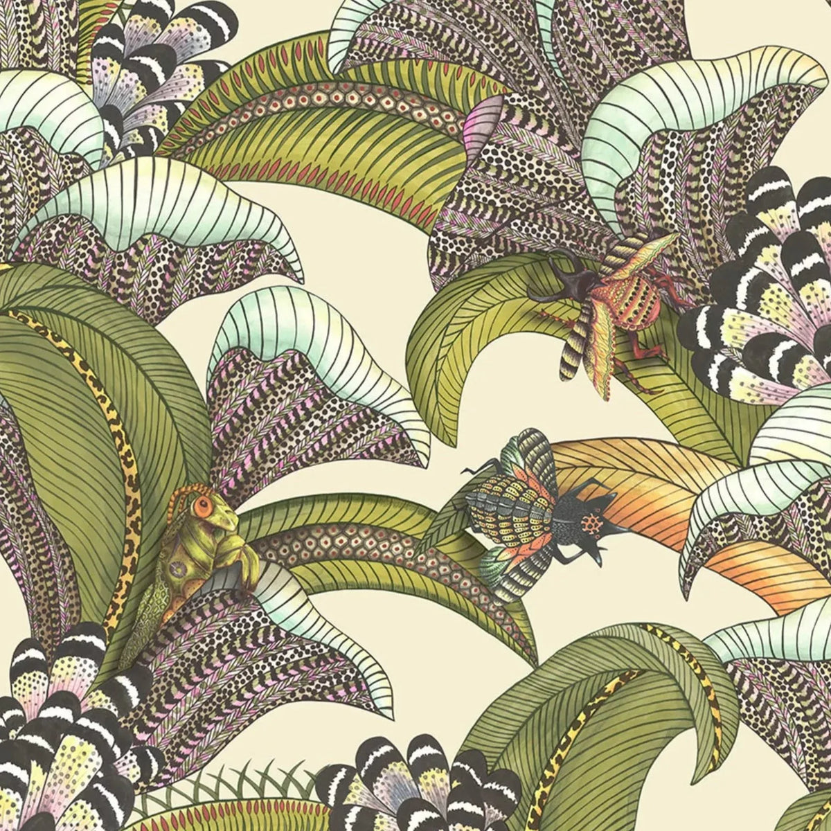 Hoopoe Leaves