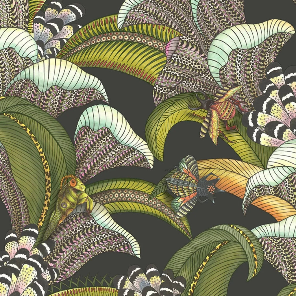 Hoopoe Leaves