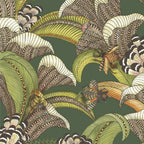 Hoopoe Leaves