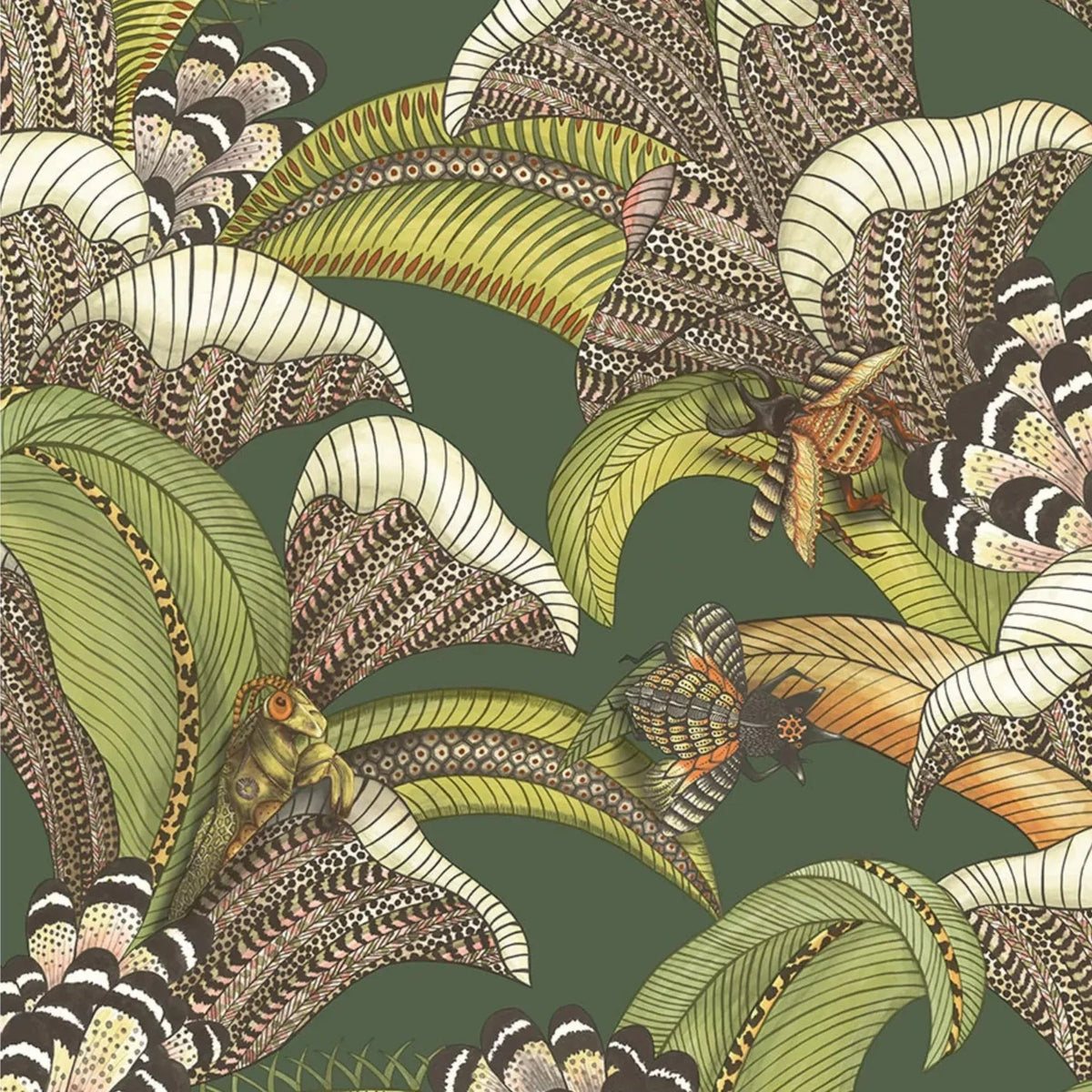 Hoopoe Leaves