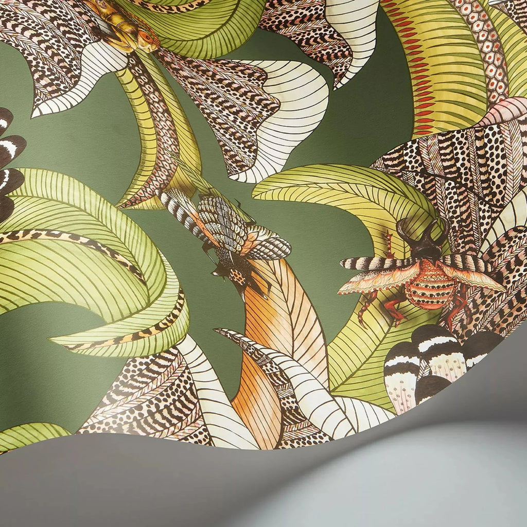 Hoopoe Leaves