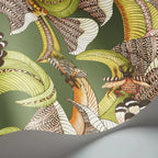 Hoopoe Leaves