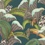 Hoopoe Leaves