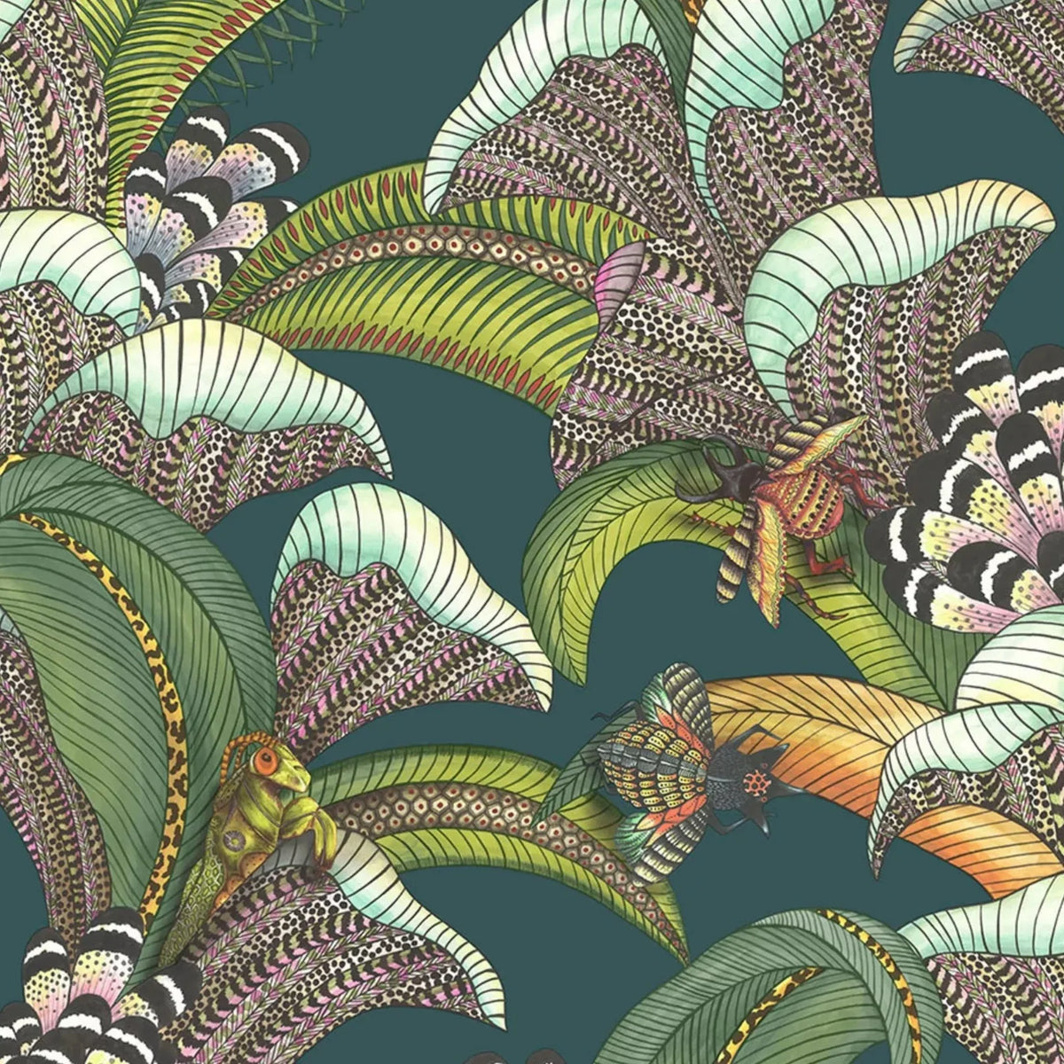 Hoopoe Leaves