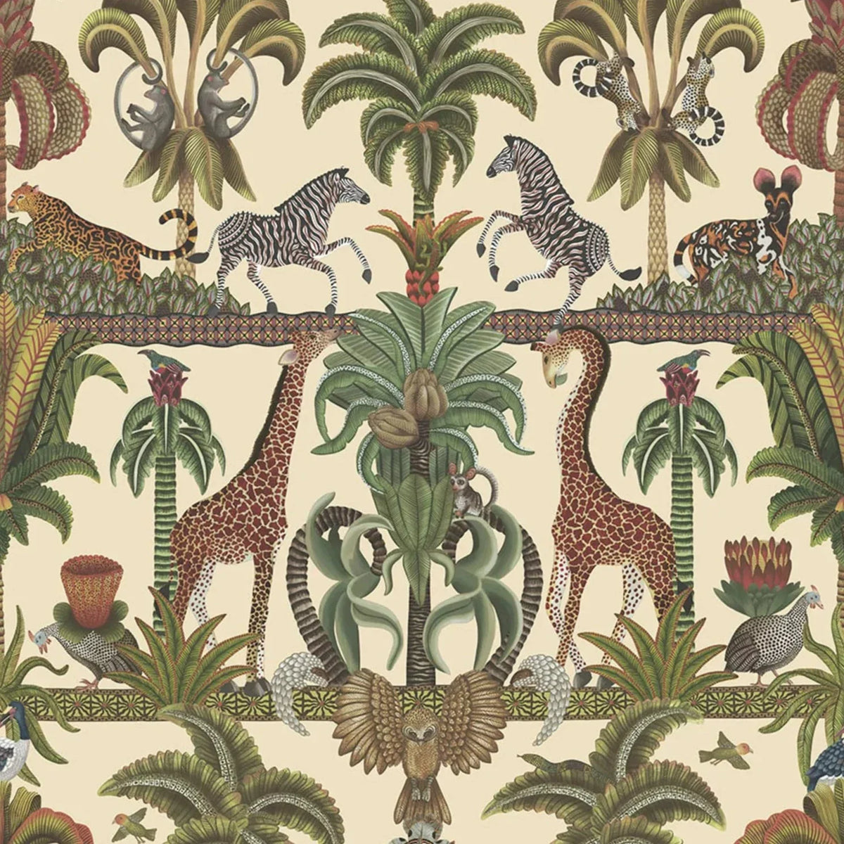 Afrika Kingdom