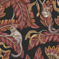 Bush Baby