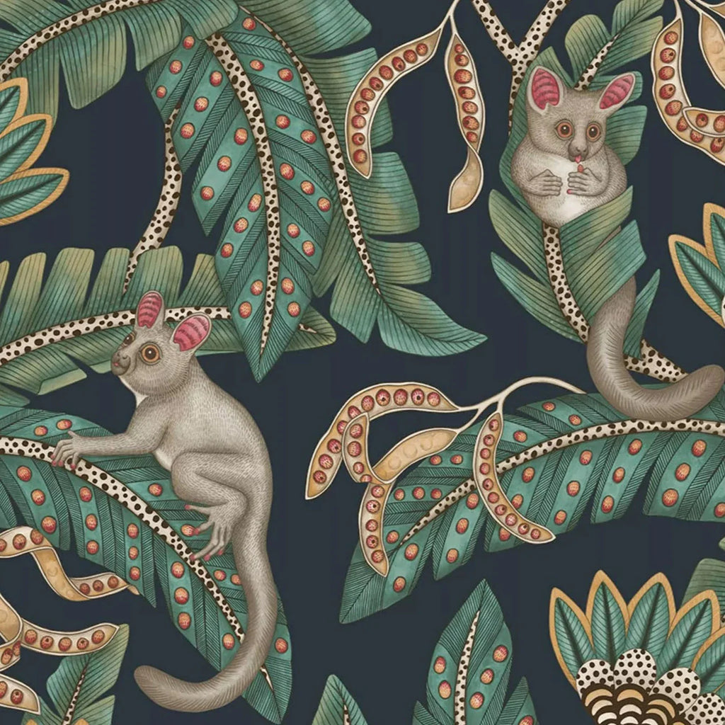 Bush Baby