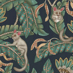 Bush Baby