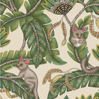 Bush Baby