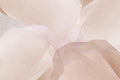 Natural Creme Abstract Wall Mural