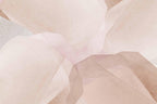 Natural Creme Abstract Wall Mural