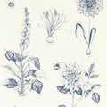 W0197/03 | Roseraie, Blue Botanical - Clarke And Clarke Wallpaper